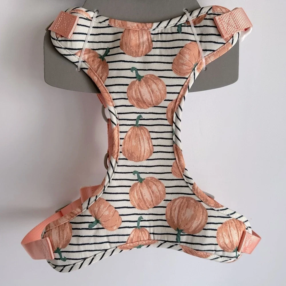 Dog London Harness and Leash Set with Pumpkins Fall Harvest Sydney & Co. Sz‎ L